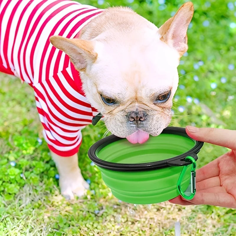 Collapsible Silicone Pet Bowl — Portable Travel Food & Water Bowl for Small Dogs