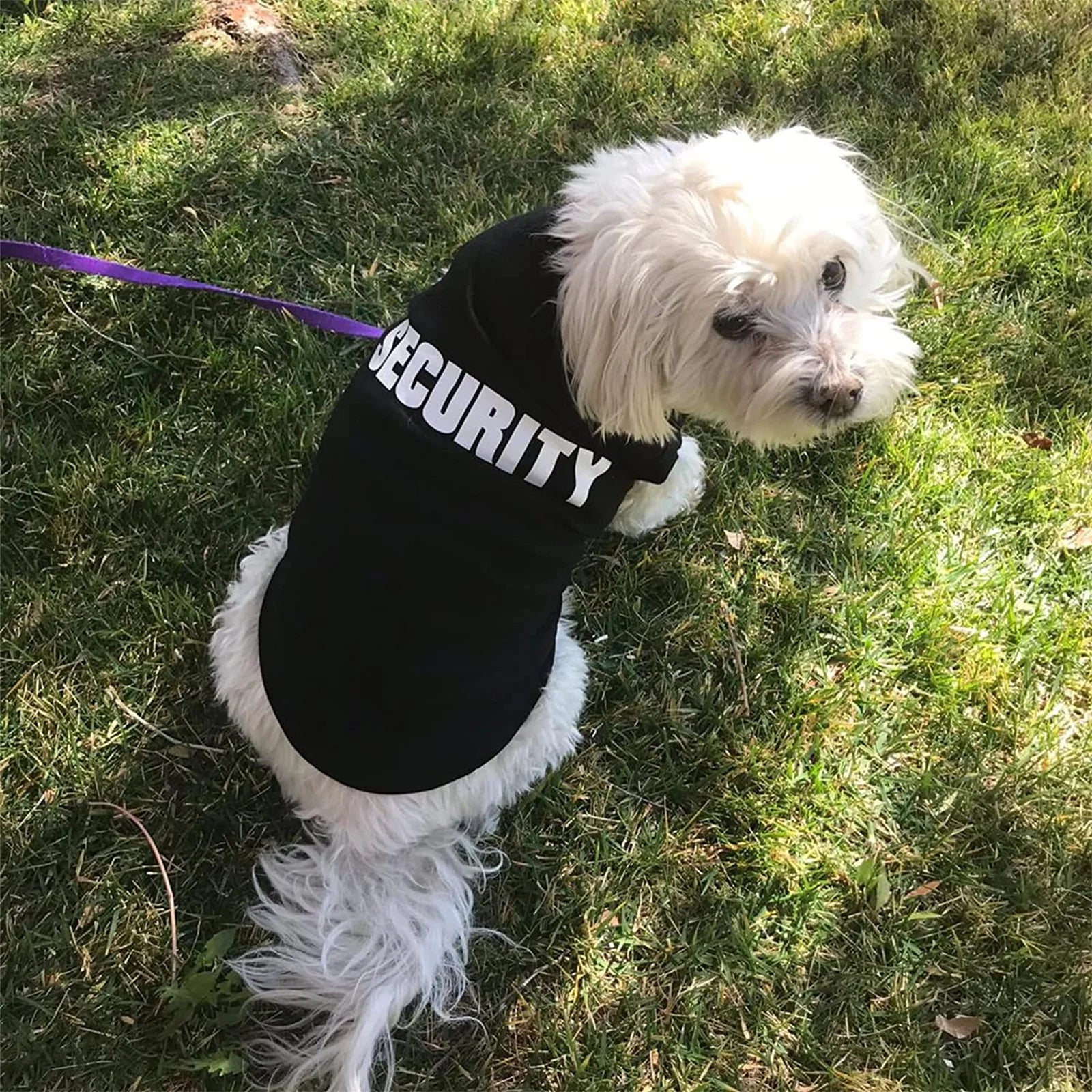 Cool Comfort Vest for Small Dogs