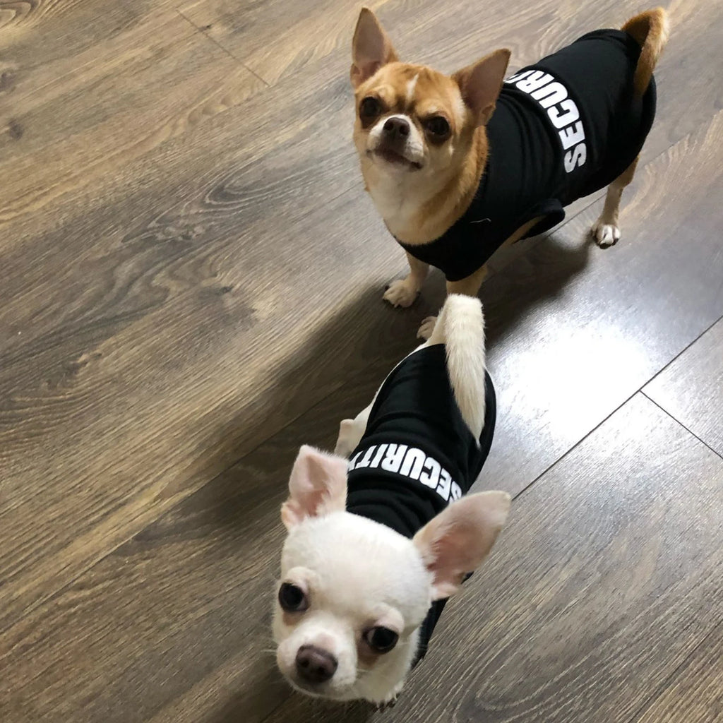 Cool Comfort Vest for Small Dogs