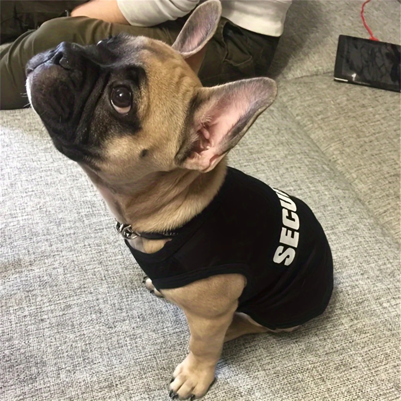 Cool Comfort Vest for Small Dogs