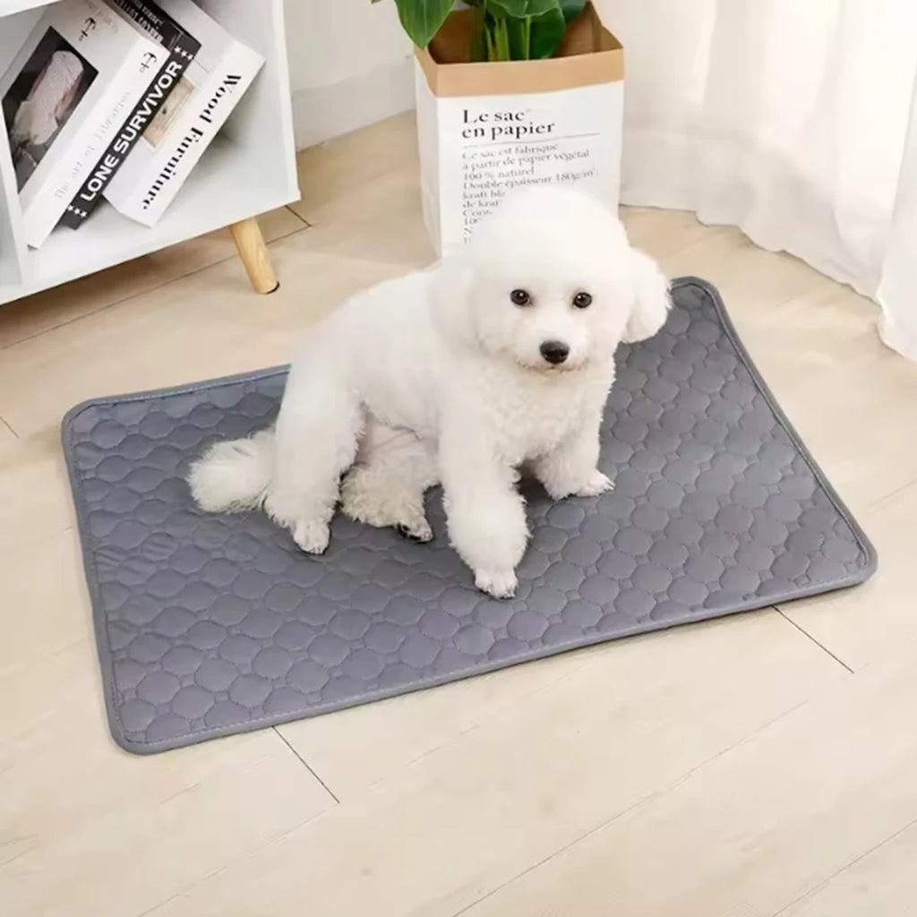 Reusable Washable Pet Pee Pad - Waterproof Absorbent Mat for Dogs - Car Seat, Floor & Sofa Protector