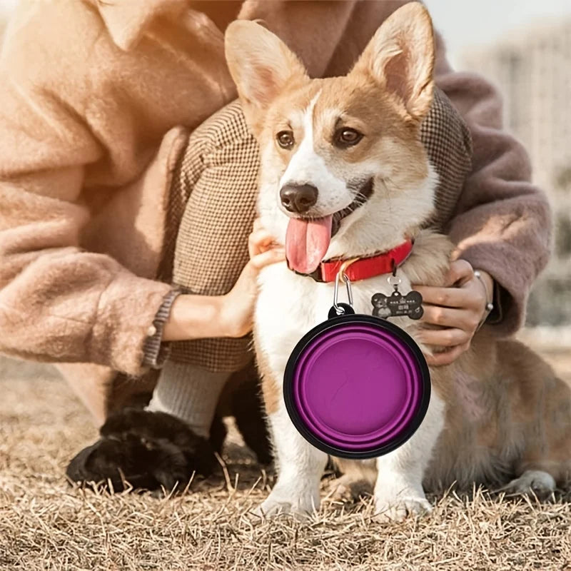 Collapsible Silicone Pet Bowl — Portable Travel Food & Water Bowl for Small Dogs